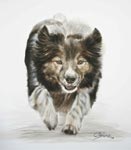 Klick zum Vergr&ouml;&szlig;ern