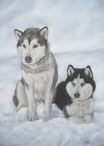 Huskies