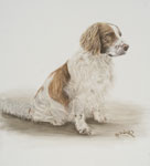 Klick zum Vergr&ouml;&szlig;ern