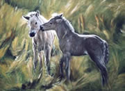 Klick zum Vergr&ouml;&szlig;ern